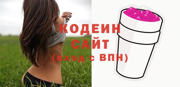 индика Балабаново