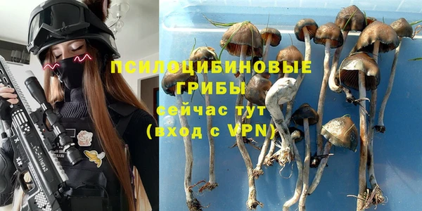 спайс Надым