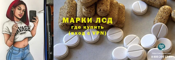 индика Балабаново